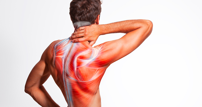 slipped disc or muscle strain